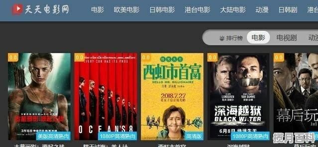 免费看最新电影网站，文化繁荣与时代的共享观影平台