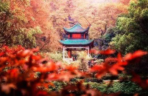 枫林晚最新地址，追梦起点，力量之源与自信之泉