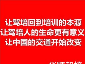 最新驾驶员招聘信息，启程探索自然美景的驾驶之旅！